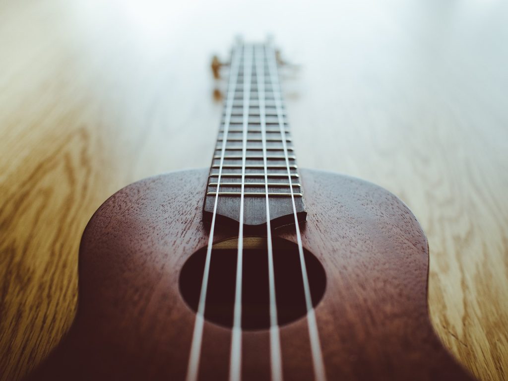 Best Ukuleles for Beginners in 2026: The Complete Buyer's Guide